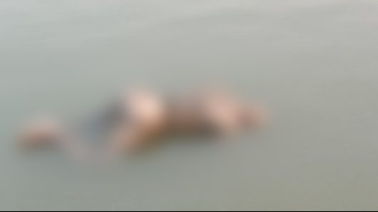 বরিশালে ভাতিজার হাতে চাচা খুন, ১২ দিন পর লাশ উদ্ধার
