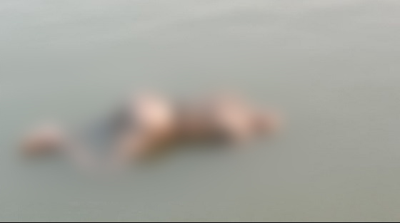 বরিশালে ভাতিজার হাতে চাচা খুন, ১২ দিন পর লাশ উদ্ধার
