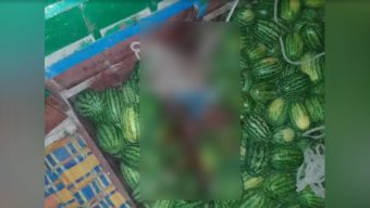 পটুয়াখালীতে নদীতে ডাকাতের কবলে তরমুজবাহী ট্রলার, আহত ৯