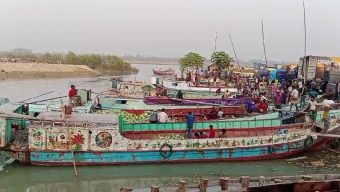 পটুয়াখালীতে বাণিজ্যিকভাবে আগাম জাতের তরমুজের বাম্পার ফলন