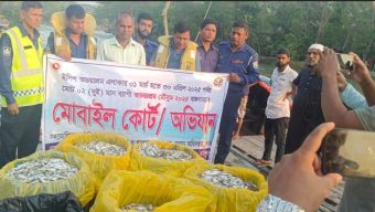 হিজলায় অভয়াশ্রম অভিযানে বিপুল পরিমানের জাটকা আটক