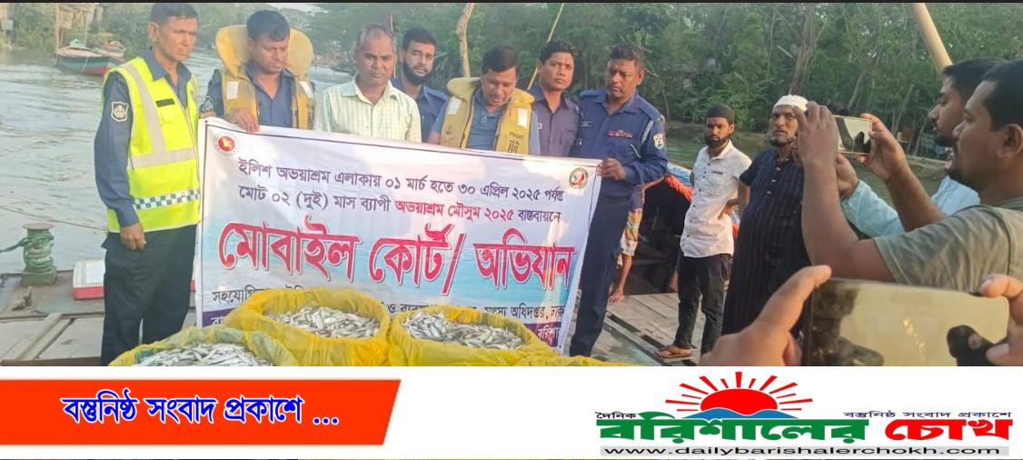 হিজলায় অভয়াশ্রম অভিযানে বিপুল পরিমানের জাটকা আটক