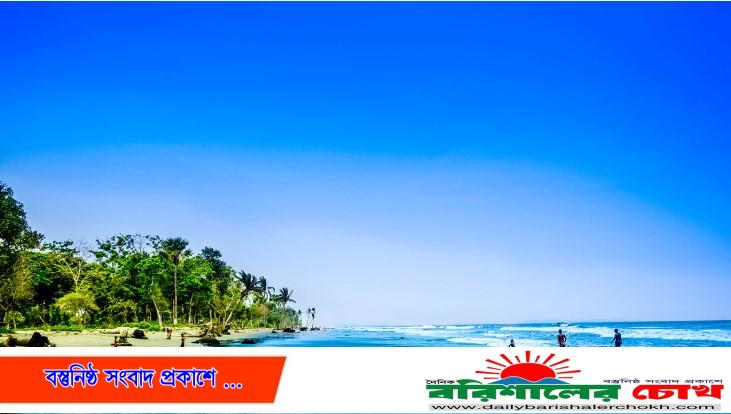 কুয়াকাটা সৈকতে ভেসে এলো অর্ধগলিত ডলফিন