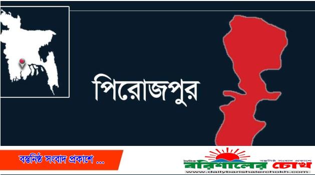 পিরোজপুরে ট্রাকের ধাক্কায় ভ্যান চালকের মৃত্যু