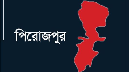 পিরোজপুরের নাজিরপুরে নিজ পুরুষঙ্গ কেটে ফেললেন এক যুবক