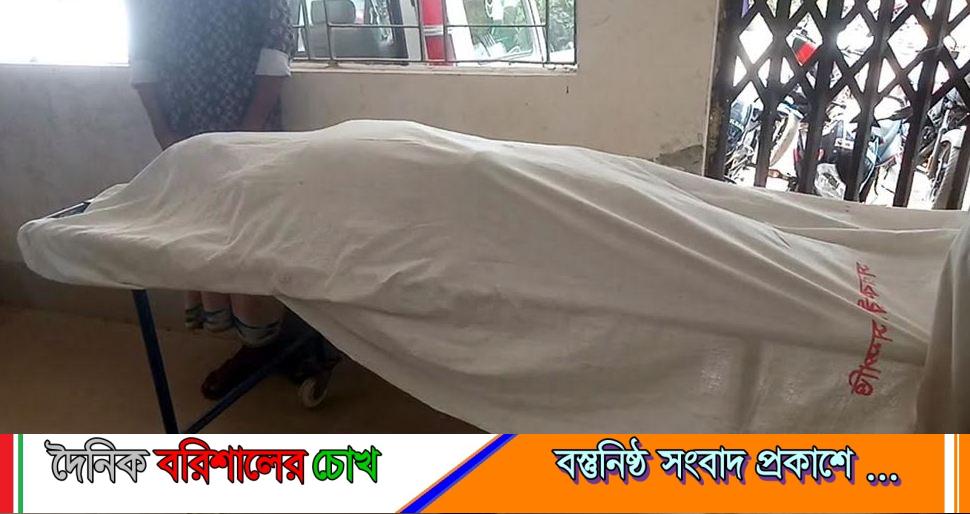 কলাপাড়ায় সড়ক দূর্ঘটনায় অটোরিকশা চালক নিহত