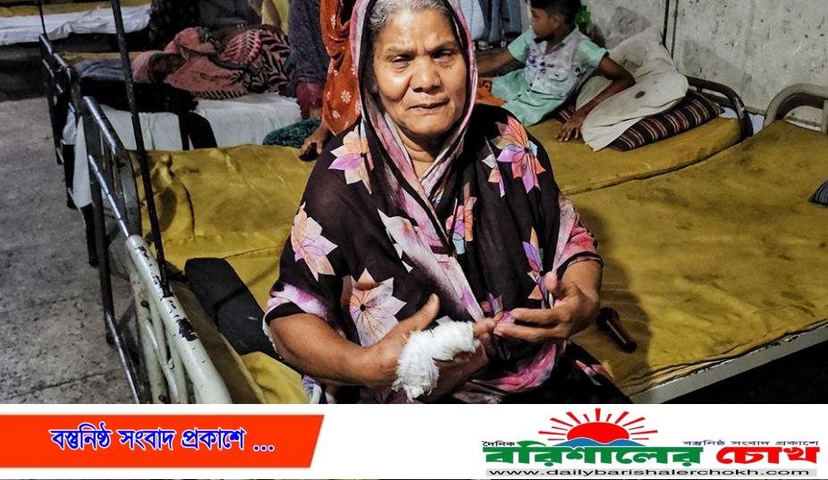 মাকে কুপিয়ে জখমের অভিযোগে ছেলের বিরুদ্ধে মামলা