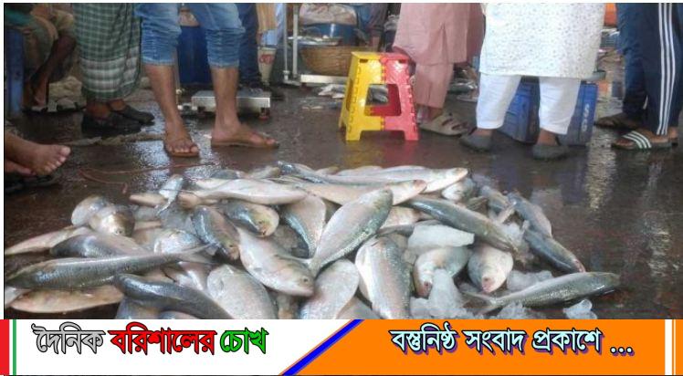 বরিশালে সাধারণ মানুষের নাগালের বাইরে রূপালি ইলিশ