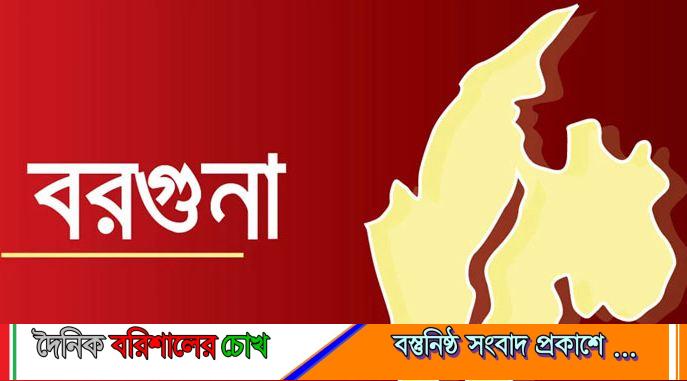 বরগুনায় পিকআপ ভ্যানচাপায় নারী নিহত