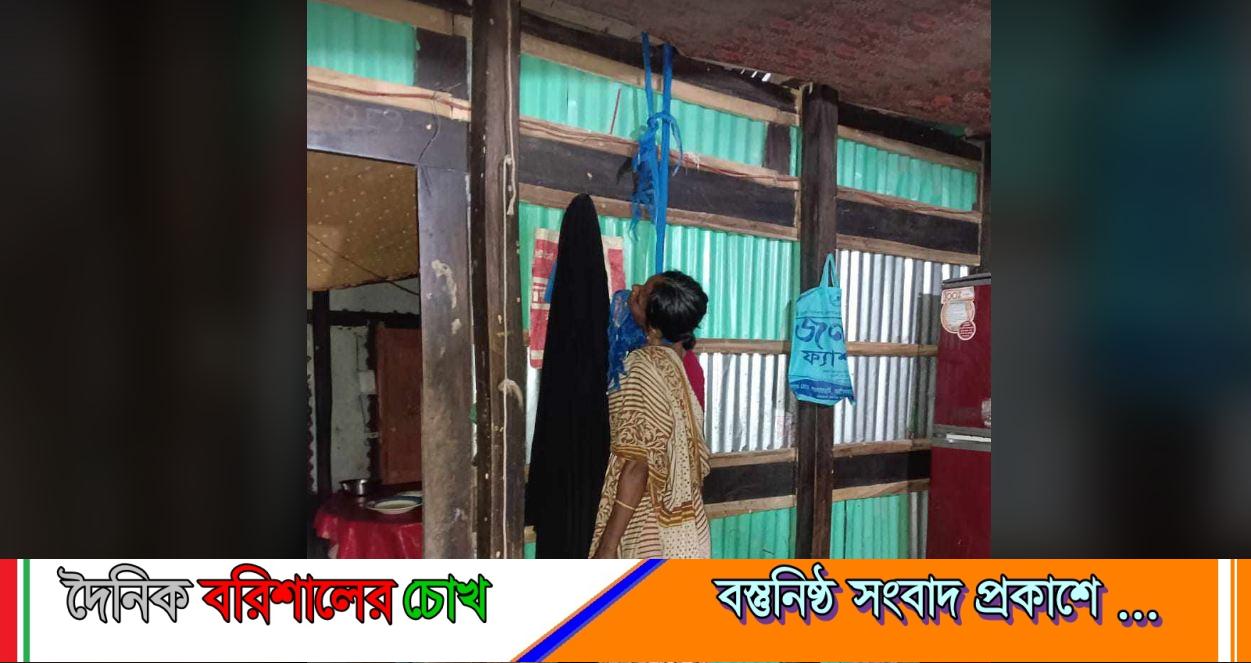 উজিরপুরে গলায় ফাঁস দিয়ে গৃহবধূর আত্মহত্যা