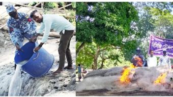 মেঘনায় জব্দ গলদা রেণু পোনা অবমুক্ত, জাল পুড়িয়ে ধ্বংস