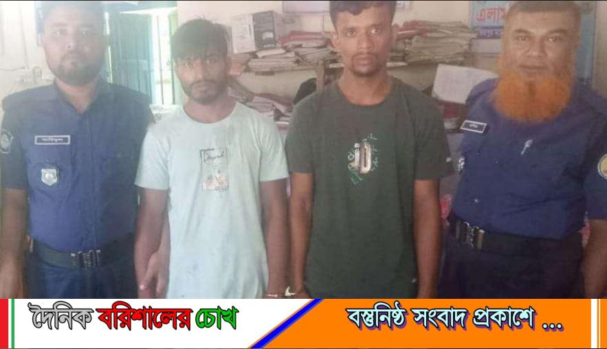 উজিরপুরে ১ কেজি গাঁজাসহ দুই মাদক কারবারি আটক