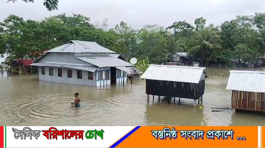 পটুয়াখালীতে নিম্নচাপের প্রভাবে পানিবন্দি ৪ শতাধিক পরিবার