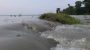 বরগুনায় নিম্নচাপের প্রভাবে জোয়ারের পানিতে নিম্নাঞ্চল প্লাবিত