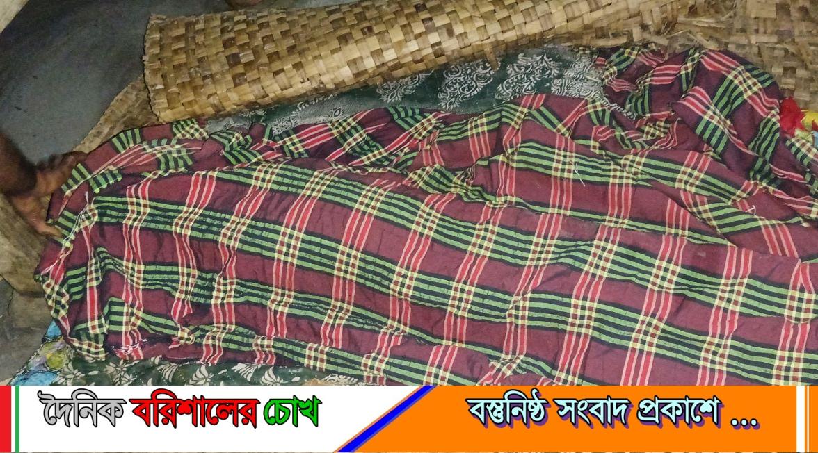 মনপুরায় বেড়িবাঁধের বালির নিচে চাপা পড়ে স্কুল ছাত্রের মৃত্যু