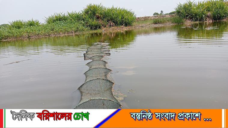 পটুয়াখালীতে ‘চায়না দুয়ারী’ জালের ছড়াছড়ি, অস্তিত্ব সংকটে দেশীয় মাছ
