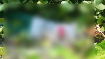 খাল থেকে বরিশাল বিশ্ববিদ্যালয় কর্মকর্তার লাশ উদ্ধার