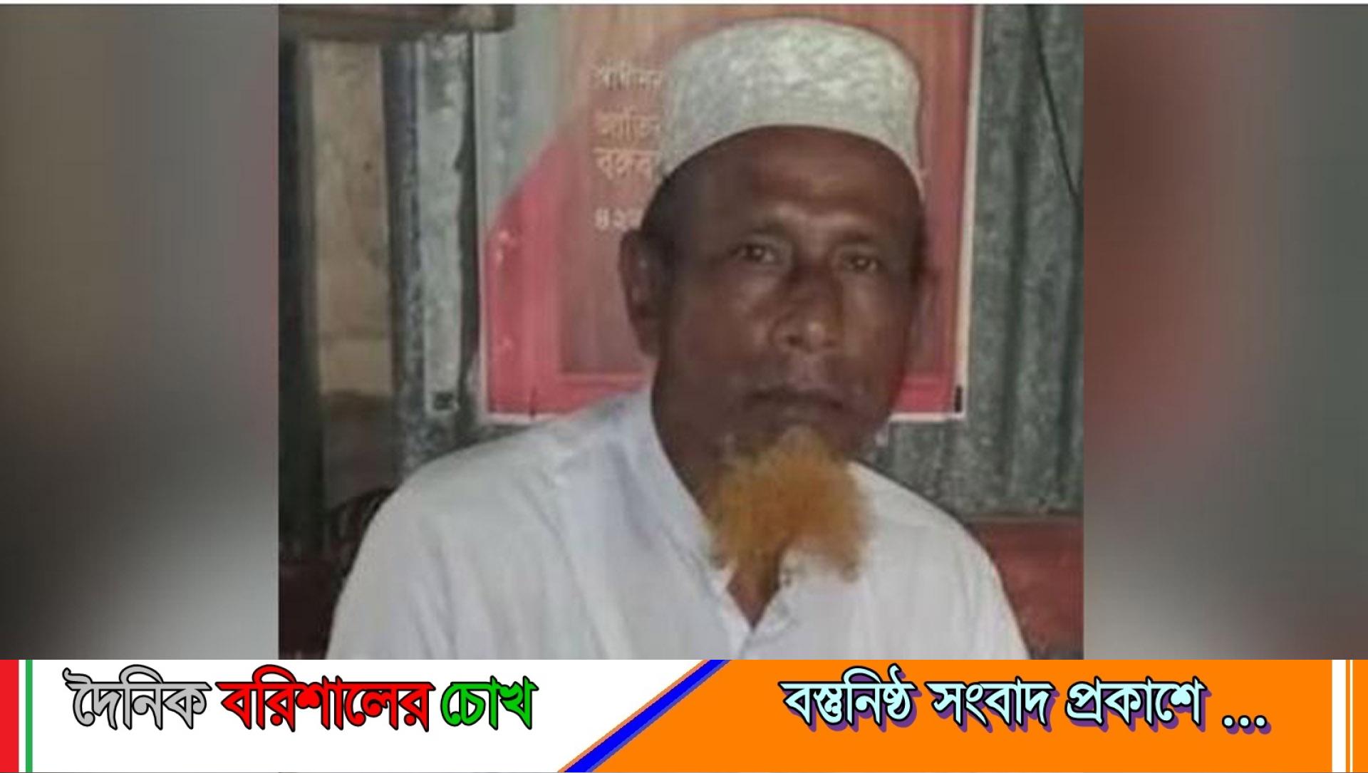 মির্জাগঞ্জে সাপের ছোবলে জামায়াত নেতার মৃত্যু