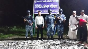 বরিশালে কোস্টগার্ডের অভিযানে বিপুল পরিমাণ জাটকা জব্দ