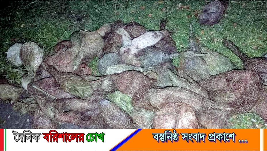 ঝালকাঠিতে বাবুই পাখি হত্যার ঘটনায় ২ মামলা