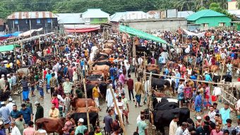 পিরোজপুরে পশুর হাটে উপচে পড়া ভিড়, নেই কাঙ্ক্ষিত ক্রেতা