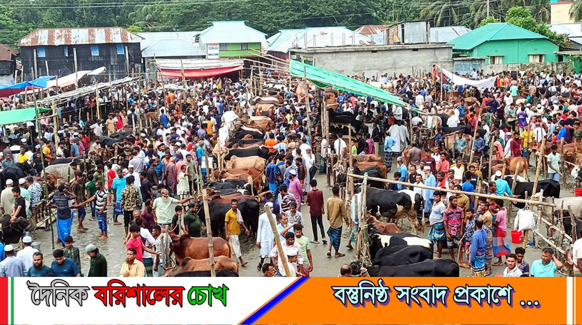 পিরোজপুরে পশুর হাটে উপচে পড়া ভিড়, নেই কাঙ্ক্ষিত ক্রেতা