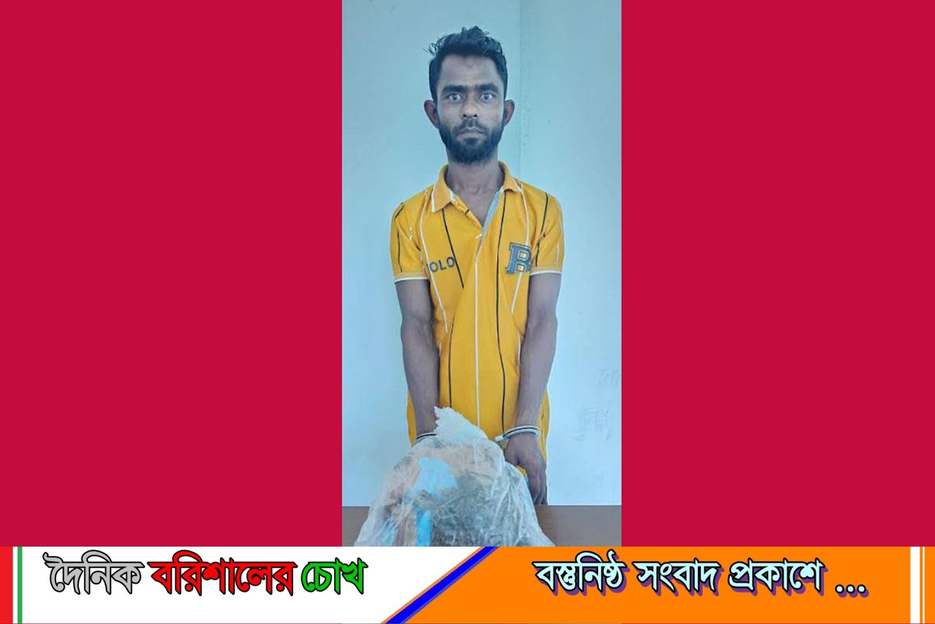 হিজলায় গাঁজা সহ আটক ১