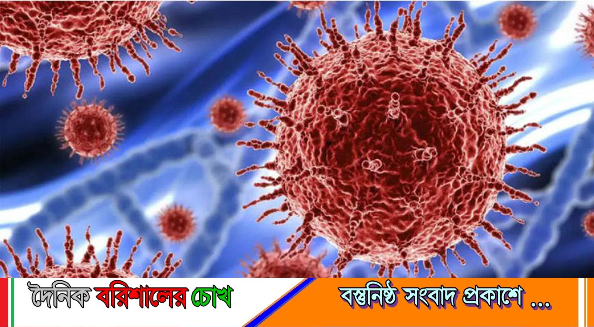 বরিশালে প্রথমবারের মতো করোনাভাইরাস শনাক্ত