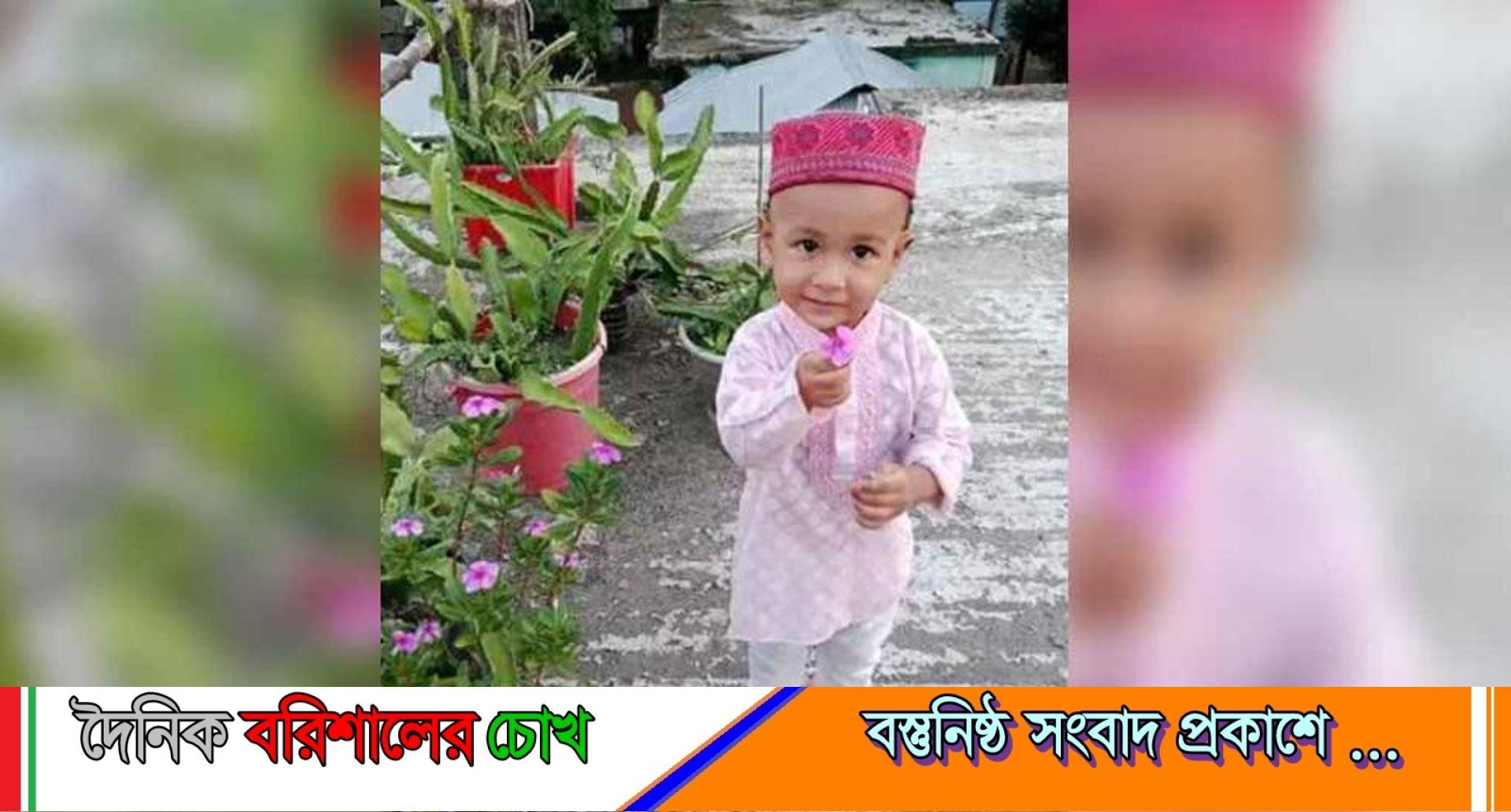 বরগুনায় ডেঙ্গুতে ৩ বছরের শিশুর মৃত্যু