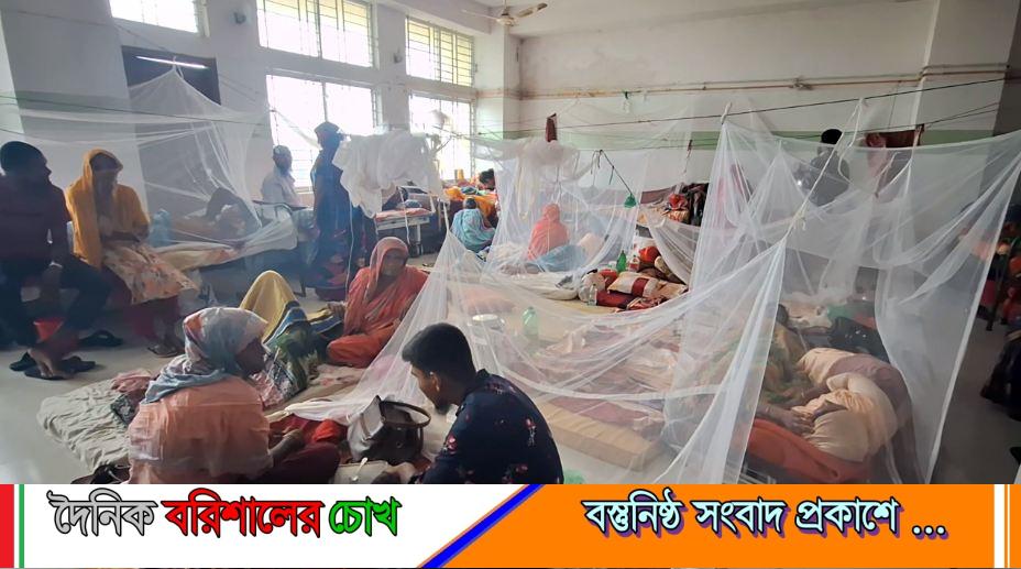 বরগুনায় ডায়াগনস্টিক সেন্টারের ভুল রিপোর্ট, ডেঙ্গুর চিকিৎসা দিতে বিপাকে চিকিৎসকরা