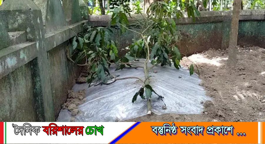 বরিশালে ছয় সন্তানের জননীর মৃত্যুর পর দাফন হল প্রতিবেশীর বাড়িতে