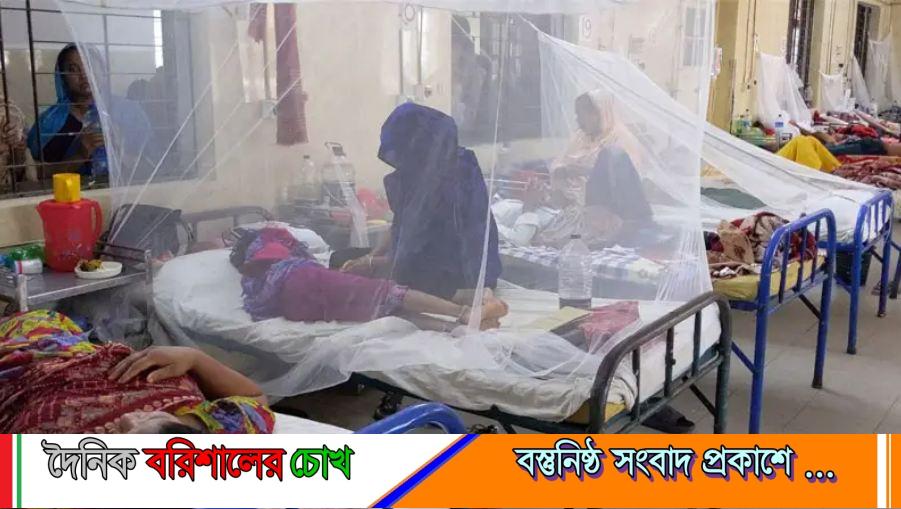 ডেঙ্গু আতঙ্কে পটুয়াখালী, হাসপাতালগুলোতে রোগীর ভিড়