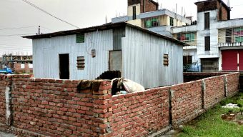 নগরীর রূপাতলী আজিজিয়া হাউজিংয়ে প্রকৃত মালিককে হয়রানি করে জমি দখলের পায়তারা