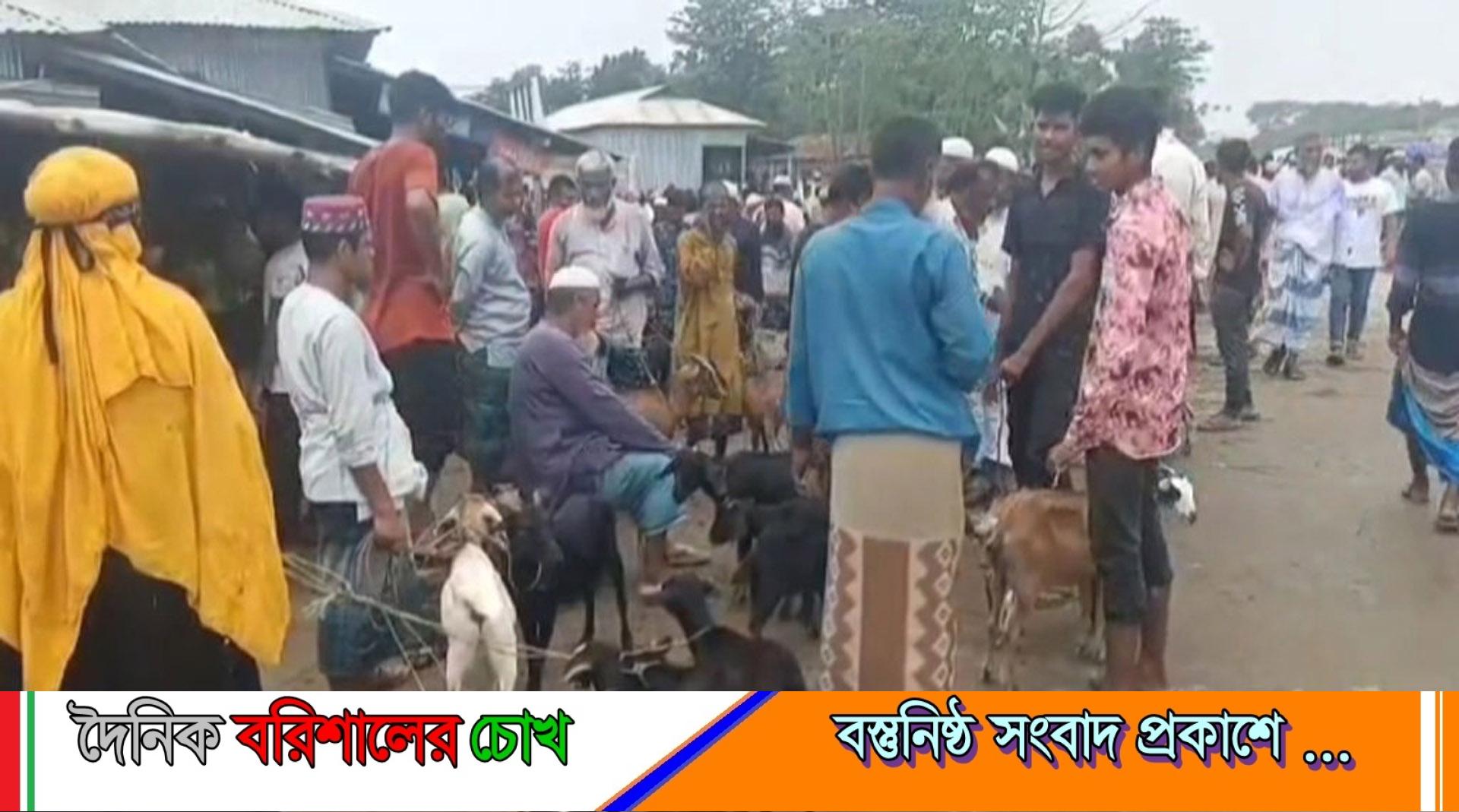 কলাপাড়ায় মহাসড়ক দখল করে পশুর হাট, বন্ধ করল প্রশাসন