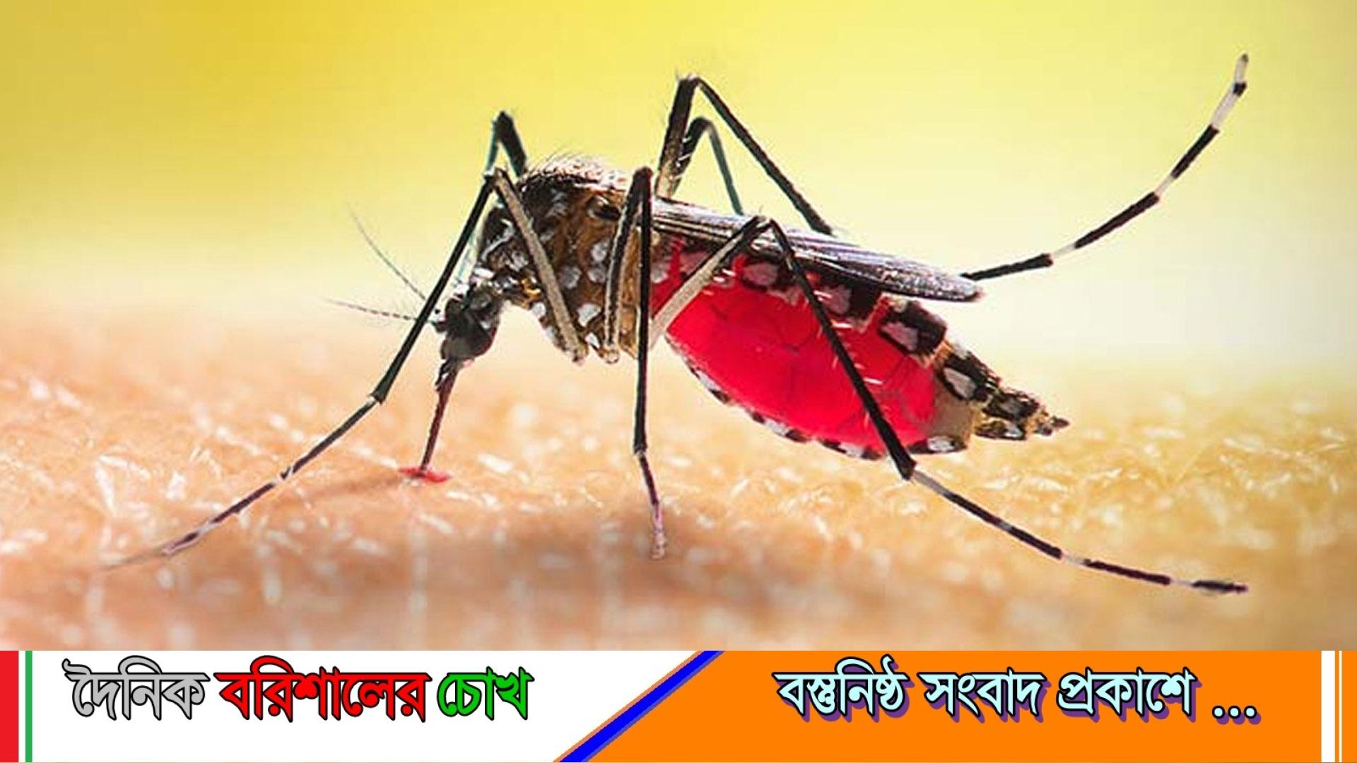বরিশালে ২৪ ঘণ্টায় ডেঙ্গু আক্রান্ত দুজনের মৃত্যু