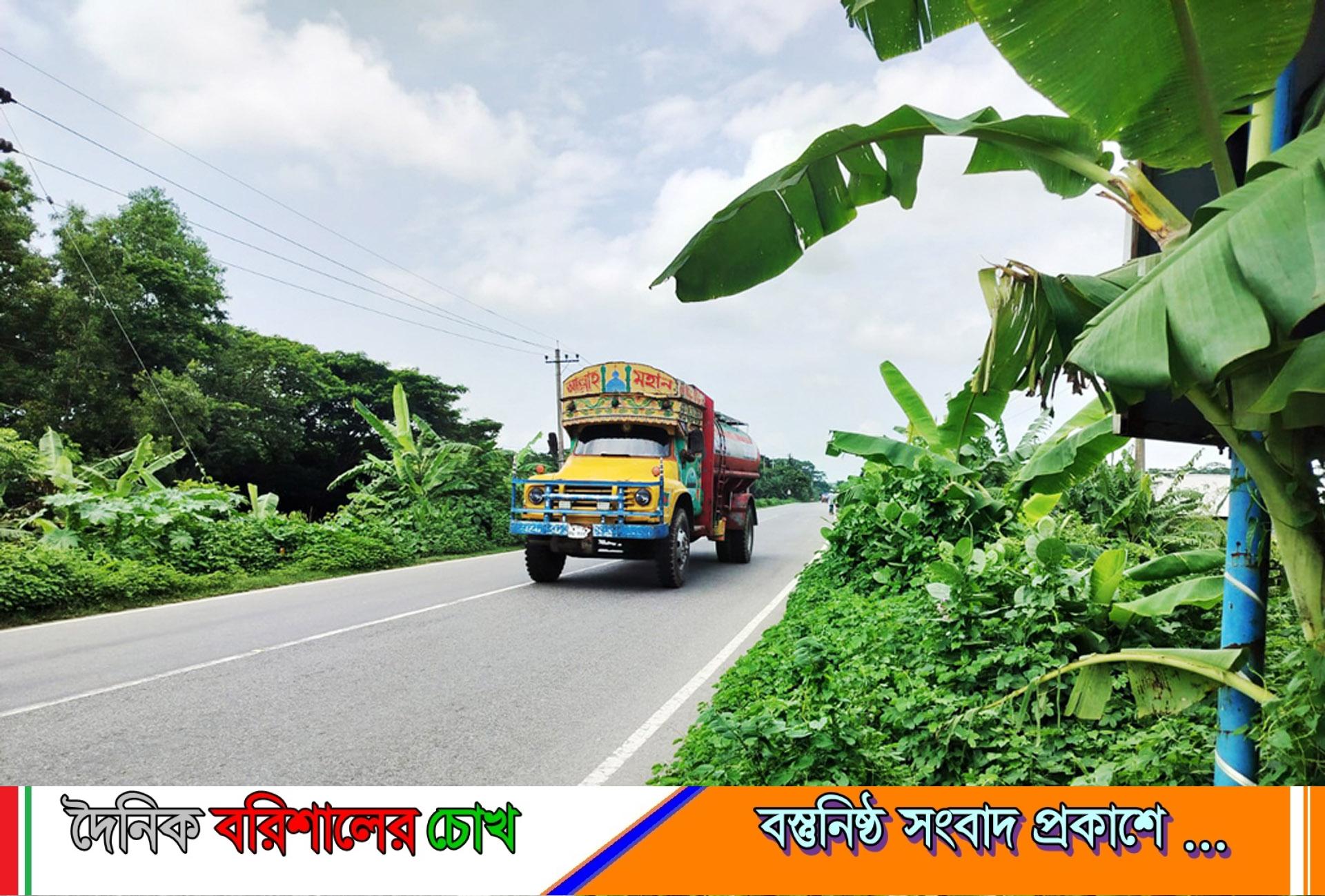 মহাসড়কের ফুটপাতজুড়ে ঝোপঝাড়, পথচারীদের ঝুঁকি নিয়ে চলাচল
