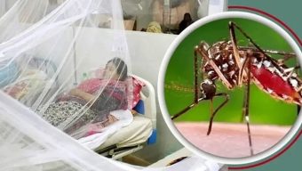 বরিশালে ডেঙ্গুর প্রকোপ বাড়ছে, ২৪ ঘণ্টায় ৩ জনের মৃত্যু