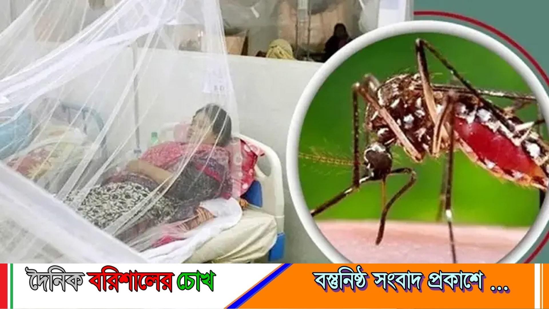 বরিশালে ডেঙ্গুর প্রকোপ বাড়ছে, ২৪ ঘণ্টায় ৩ জনের মৃত্যু