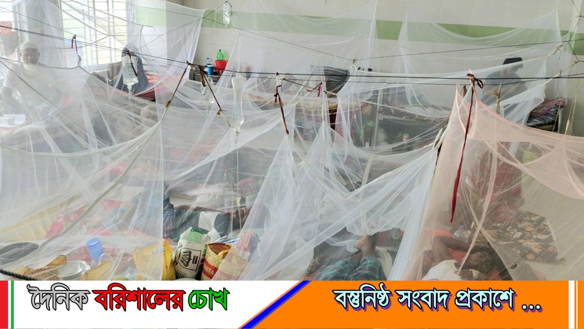 বরগুনায় ভয়াবহ ডেঙ্গু পরিস্থিতি, মৃত্যু বেড়ে ১৩