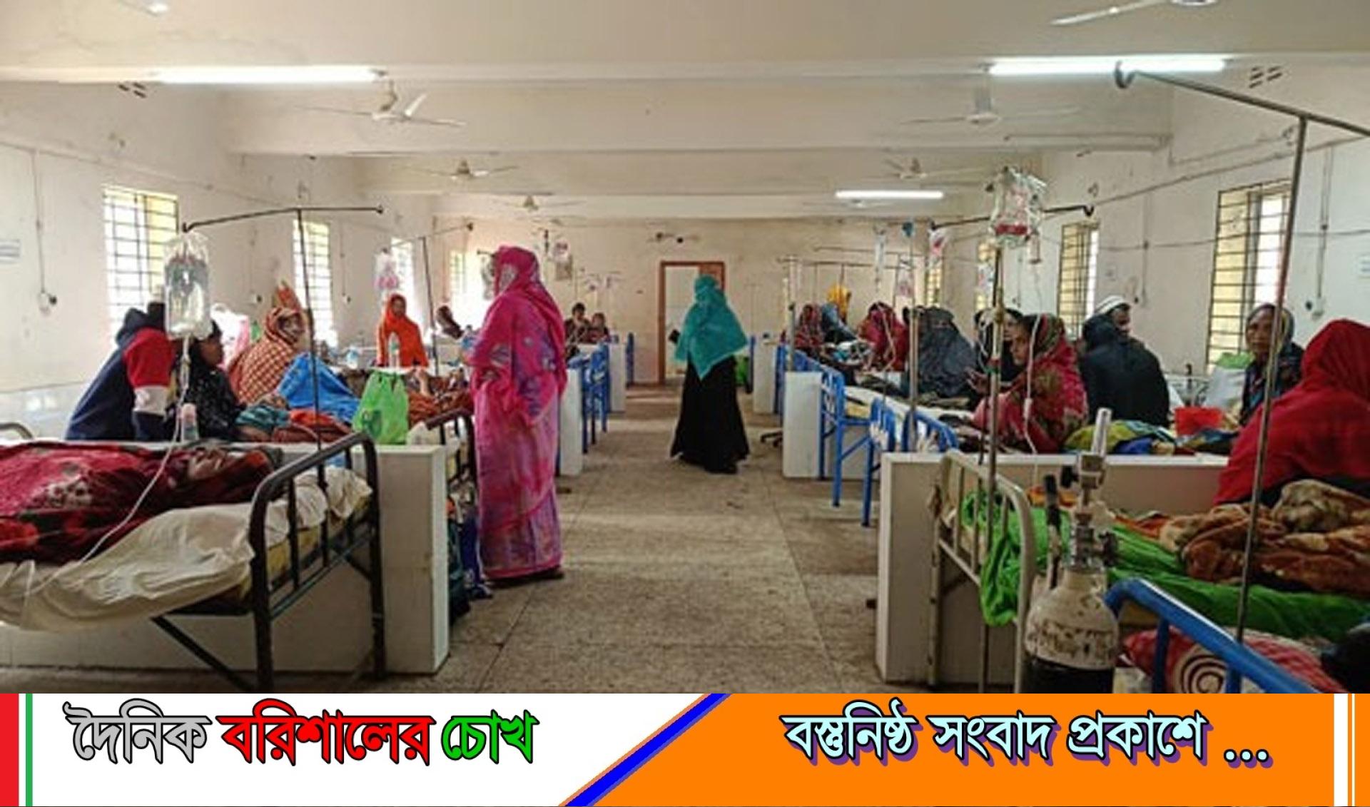 গলাচিপায় ডেঙ্গু জ্বরে এসএসসি পরীক্ষার্থীর মৃত্যু