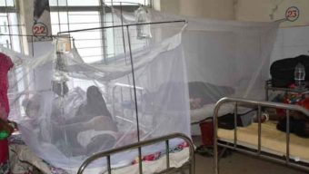 হাসপাতালে মশারীও জুটছে না ডেঙ্গু রোগীদের