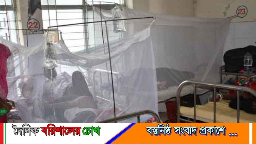 হাসপাতালে মশারীও জুটছে না ডেঙ্গু রোগীদের