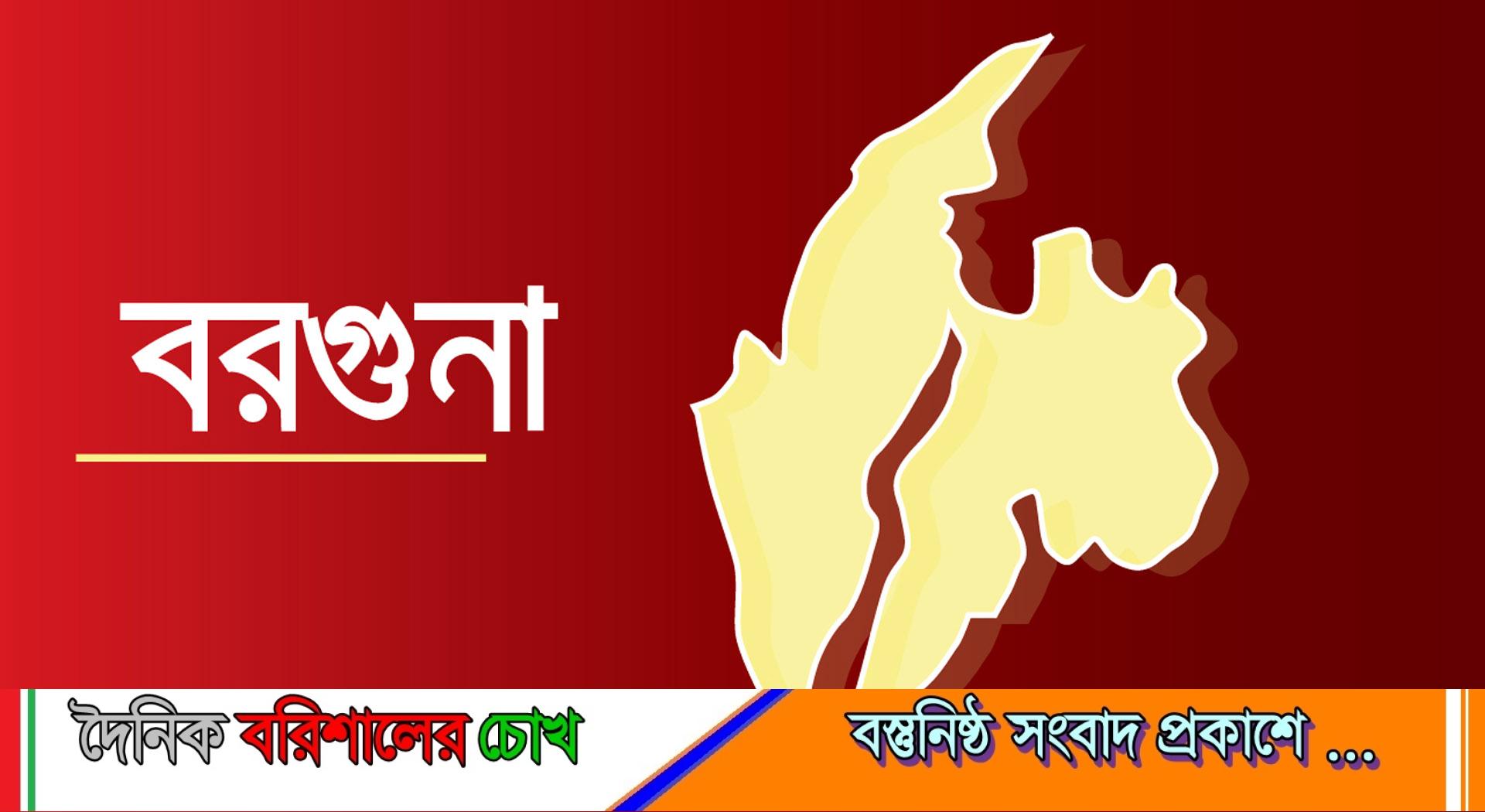 বরগুনায় মামলার বাদীকে ধর্ষণচেষ্টায় ব্যর্থ হয়ে বাড়িতে হামলা