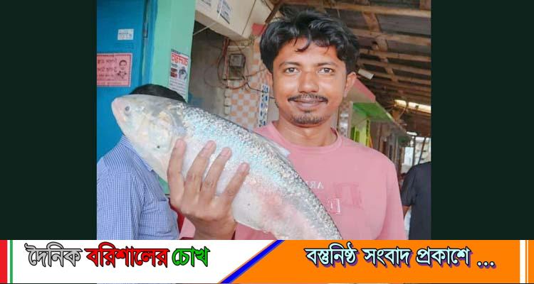 বঙ্গোপসাগরের এক ইলিশ বিক্রি ৬ হাজার টাকায়