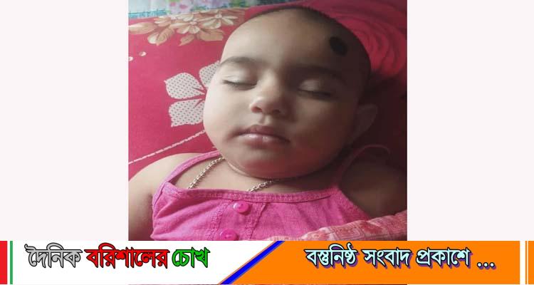 বানারীপাড়ায়  খালের পানিতে শিশুর সলিল সমাধি