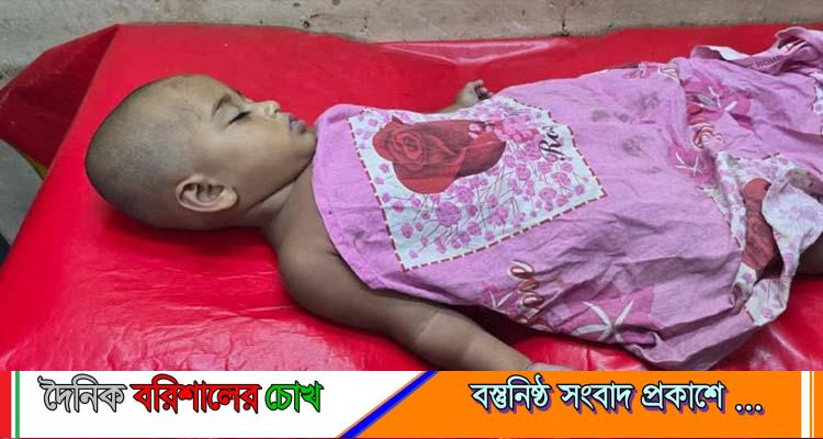 পটুয়াখালীর দশমিনায় পুকুরে ডুবে শিশুর মৃত্যু