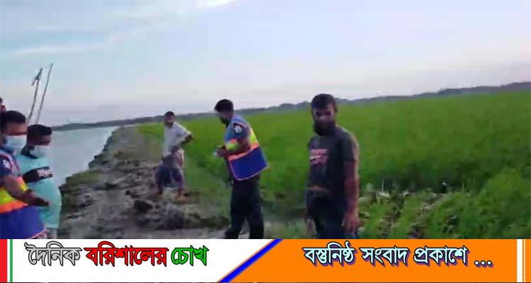 বাউফলে শিশুর হাত-পা-মাথাবিহীন মরদেহ উদ্ধার