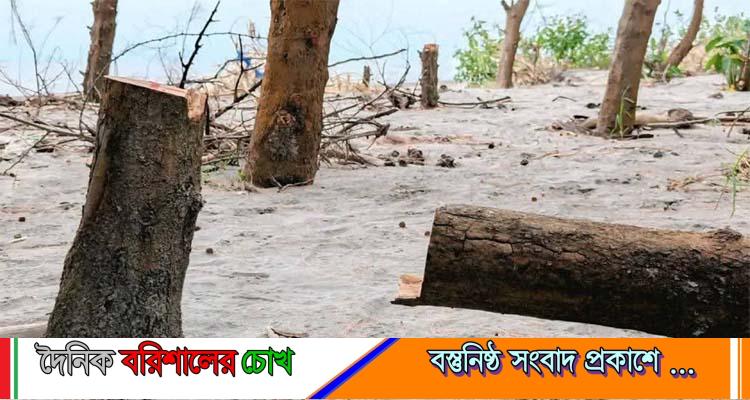 গঙ্গামতির সংরক্ষিত বন উজাড়
