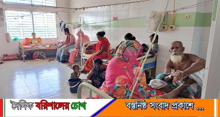 বরগুনায় ডেঙ্গু আক্রান্ত আরও ২ জনের মৃত্যু