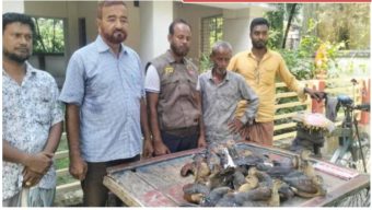 উজিরপুরে পাখি শিকারের অপরাধে শিকারী আটক